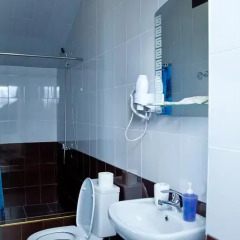 Гостиница Voronezh Guest house Номер Делюкс разные типы кроватей фото 16