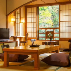 Отель Yamabiko Ryokan Минамиогуни удобства в номере