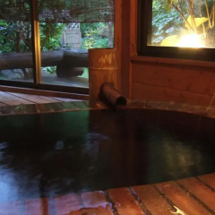 Отель Shimizu Ryokan Хидзи спа