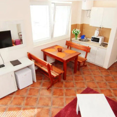 Апартаменты Mila & Aleksandr Apartments удобства в номере