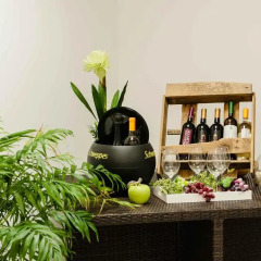 Отель West Side Guesthouse питание