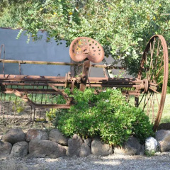 Отель Agriturismo S´Aranada Арбория детские мероприятия