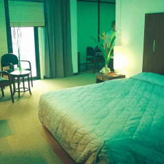 Отель The Pavilion Place 3* Номер Делюкс с различными типами кроватей фото 8
