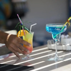 Отель Tui Day&Night Connected Club Life Belek Богазкент гостиничный бар