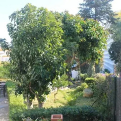 Отель Hostal Los Geranios Del Pinar Торремолинос фото 14