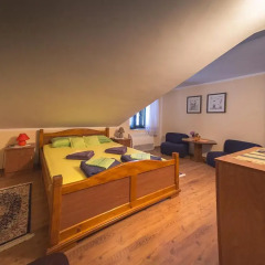 Апартаменты Apartments Villa Ferri Студия с различными типами кроватей
