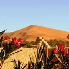 Отель Гостевой дом La Vallée des Dunes Марокко, Мерзуга - отзывы, цены и фото номеров - забронировать отель Гостевой дом La Vallée des Dunes онлайн фото 3