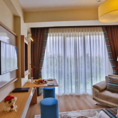 Manesol Suites Golden Horn Турция, Стамбул - отзывы, цены и фото номеров - забронировать отель Manesol Suites Golden Horn онлайн комната для гостей фото 5