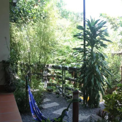 Отель Mui Ne Garden Стандартный номер с различными типами кроватей фото 22