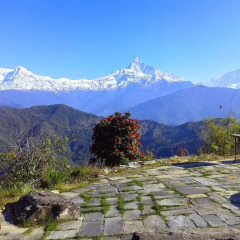 Отель Himalayan Deurali Resort Непал, Лехнат - отзывы, цены и фото номеров - забронировать отель Himalayan Deurali Resort онлайн фото 12