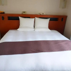 Hotel East 21 Tokyo 4* Стандартный номер с различными типами кроватей фото 4