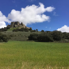 Отель Hostal Casa Rural La Ermita Саэлисес