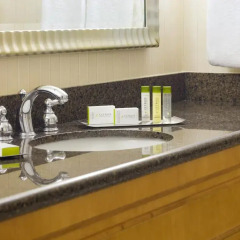 Отель DoubleTree by Hilton at the Entrance to Universal Orlando 4* Стандартный номер с различными типами кроватей фото 3
