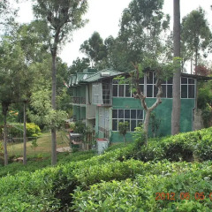 Отель Ranmal Tea Plantation Bungalow 2* Стандартный номер с различными типами кроватей фото 13