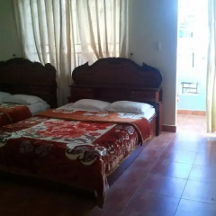 Отель Thien Kim Guest House Стандартный номер