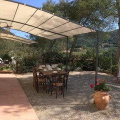 Отель Agriturismo Le Catre Кастаньето-Кардуччи