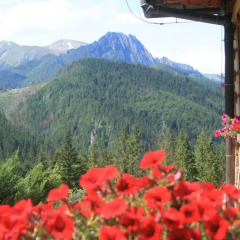Отель Holiday Home Krzysztoforow Закопане