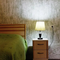 Отель David Mikadze's Guest House удобства в номере