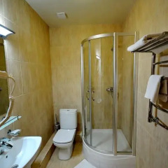 Гостиница Мальдини 4* Номер Эконом с разными типами кроватей фото 7
