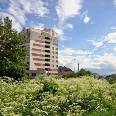 Мини-Отель Три Зайца Стандартный номер с двуспальной кроватью (общая ванная комната) фото 9