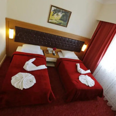 Forest Park Hotel 3* Стандартный номер с разными типами кроватей фото 5