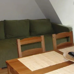 Отель Apartament Kościelisko Косцелиско комната для гостей фото 5