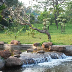 City Angkor Hotel бассейн фото 3