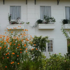Отель Khanh Lam Villa Вьетнам, Далат - отзывы, цены и фото номеров - забронировать отель Khanh Lam Villa онлайн фото 2