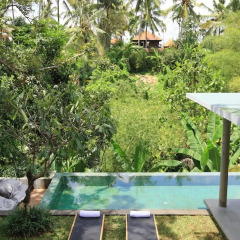 Отель Aria Villas Ubud бассейн