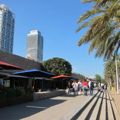 Отель Barceloneta Studios 3* Студия фото 2