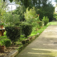 Отель Cascina Mimi Пастена