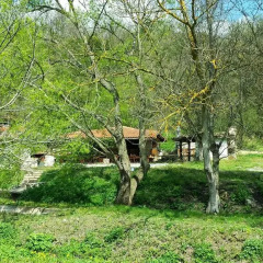 Отель Kolyovite Izvori Hotel Болгария, Генерал-Кантраджиево - отзывы, цены и фото номеров - забронировать отель Kolyovite Izvori Hotel онлайн приотельная территория
