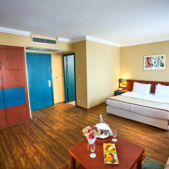 Feronya Hotel 4* Стандартный номер с различными типами кроватей фото 2