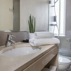 Hotel Expo Astoria 3* Стандартный номер с двуспальной кроватью фото 8