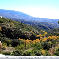 Отель Cortijo Buena Vista Сьерра-Невада фото 2