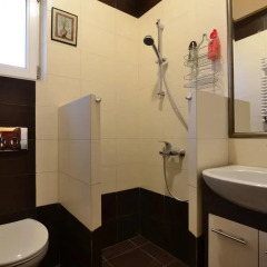 Гостиница Kniazia Romana 4 ванная фото 2