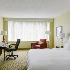 Отель Crystal City Marriott at Reagan National Airport 3* Стандартный номер с различными типами кроватей фото 4