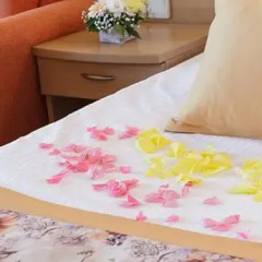 Wela Hotel - All Inclusive 4* Стандартный номер с различными типами кроватей фото 4