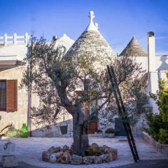 Отель Residenze nei Trulli Стандартный номер