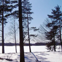 Отель Ekebacken Hotell & Konferens спортивное сооружение