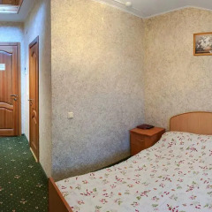 Гостиница Соловьиная роща Стандартный номер разные типы кроватей фото 10