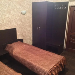 Гостиница Державин 3* Номер Эконом разные типы кроватей фото 3