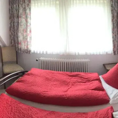 Отель Blackcoms Erika 3* Стандартный номер с различными типами кроватей фото 10