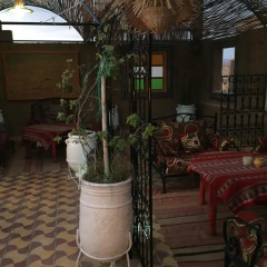 Отель Bivouac Karim Sahara Марокко, Загора - отзывы, цены и фото номеров - забронировать отель Bivouac Karim Sahara онлайн питание