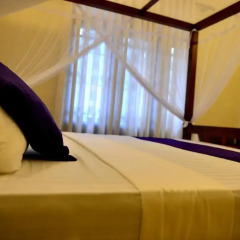 Отель Jacinda Villa Стандартный номер с различными типами кроватей фото 3