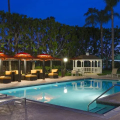 Отель DoubleTree by Hilton Carson 3* Стандартный номер с различными типами кроватей фото 9