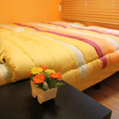 Отель Dream Comfort 2* Стандартный номер с различными типами кроватей фото 7