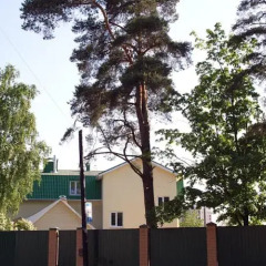 Гостевой Дом Новосельковский Санкт-Петербург фото 2