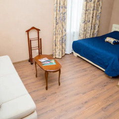 Гостиница Aristokrat Hotel в Красноярске отзывы, цены и фото номеров - забронировать гостиницу Aristokrat Hotel онлайн Красноярск комната для гостей фото 5