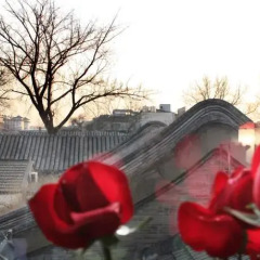 Отель Chinese Culture Holiday Hotel Китай, Пекин - 1 отзыв об отеле, цены и фото номеров - забронировать отель Chinese Culture Holiday Hotel онлайн фото 2